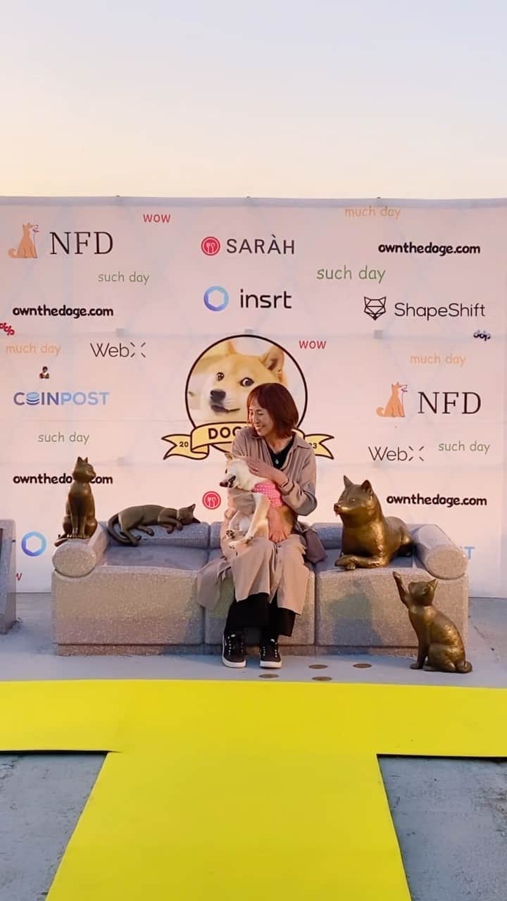柴犬 けんしろう ゆりあのインスタグラム：「🐕Doge Day🐕  今日11/2は、かぼすちゃんの 18歳のお誕生日🎂 @kabosumama  世界中のかぼすちゃんファンのみなさんと かぼすちゃんの聖地、佐倉ふるさと広場で かぼちゃんのお誕生会&モニュメント除幕式🎉  もぅもぅ感動の1日でした🥺❤️  かぼママさんのスピーチにうるうる🥺 みんなで歌うかぼちゃんへの ハッピーバースデーにうるうる🥺 18歳のかぼちゃんを なでなでさせてもらいまたうるうる🥺  かわいいかわいいかぼちゃん 本当に本当におめでとう🎂 18歳すごいね、本当にすごいね✨  動画は盛大なお祝いの中の一部ですが この幸せな時間をみなさんにもお届けしたくて かぼちゃんのお誕生日の今日にpost❤️  #dogeday #doge #happybirthday #かぼすちゃんとおさんぽ」