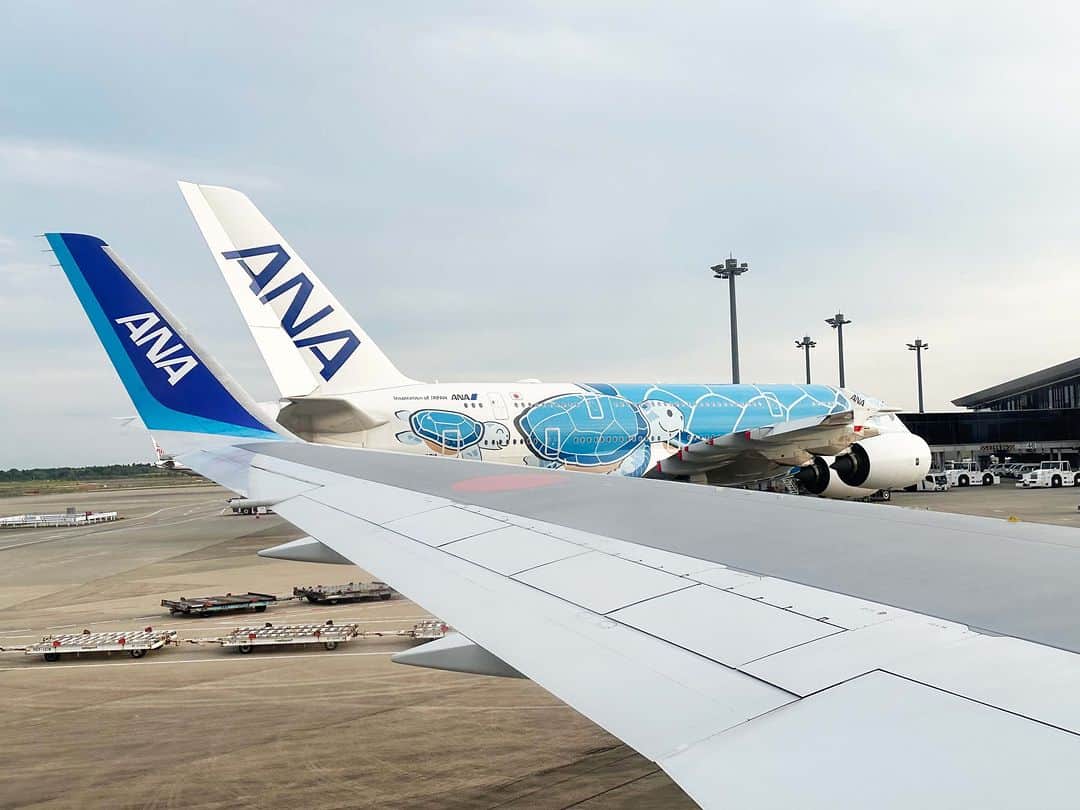 All Nippon Airwaysのインスタグラム：「Our planes spreading their wings before take off. #FLYINGHONU #ANAHAWAii #AllNipponAirways  Thank you to our crew for taking this photo!」