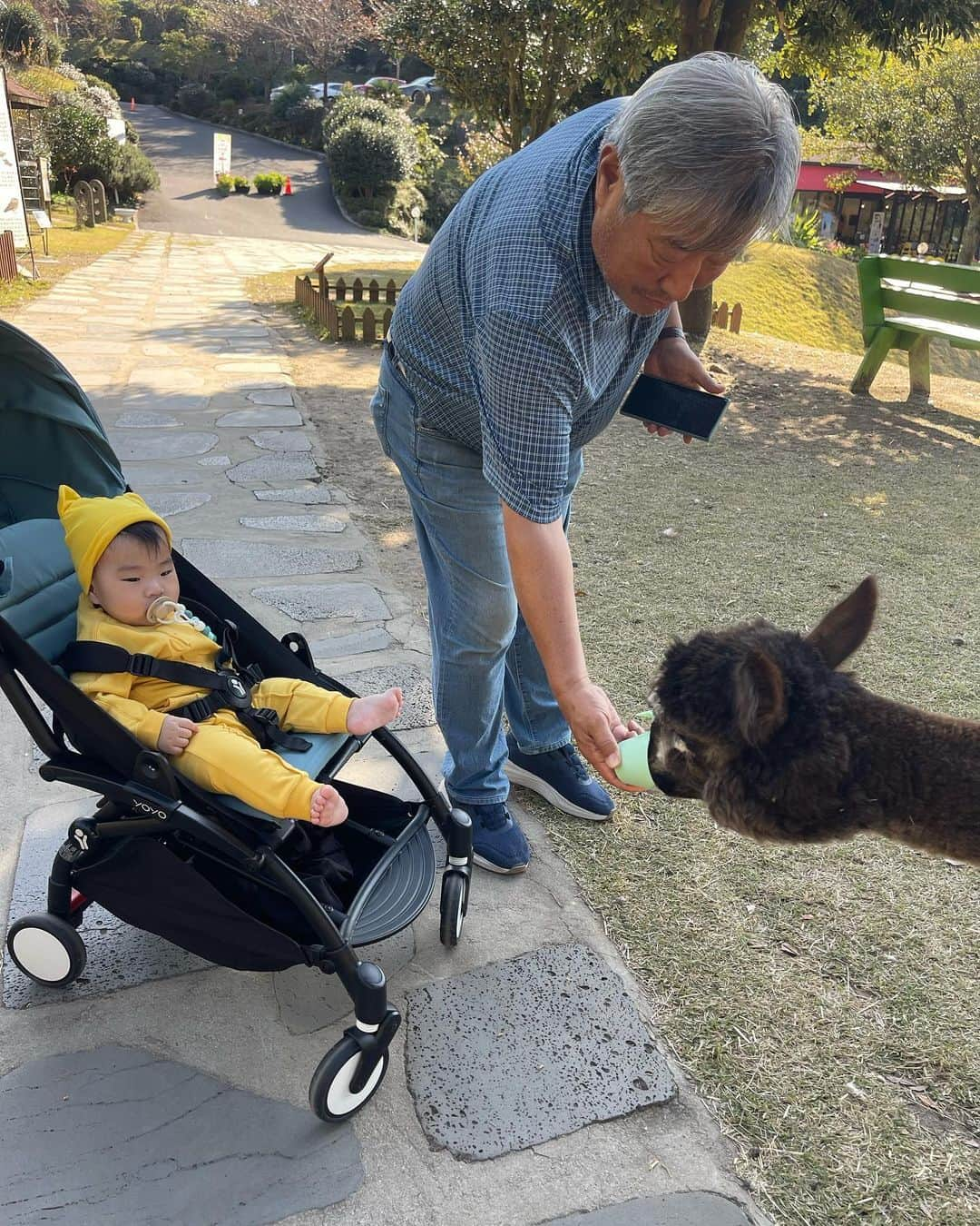 パク・ヒヨンさんのインスタグラム写真 - (パク・ヒヨンInstagram)「할아버지와 제주 여행~ 더커서도 엄마 옆에 찰싹 붙어 있으면 좋겠어 오늘도 한 5시간은 들고 있었지!?!? ㅋㅌ #엄마니깐했다 어디서 나오는가 #엄마파워  태어나서 처음 알파카봄 조카가 그리 좋아하는 알파카 나도 봤다 ㅋ」11月2日 22時27分 - heeyounglpga