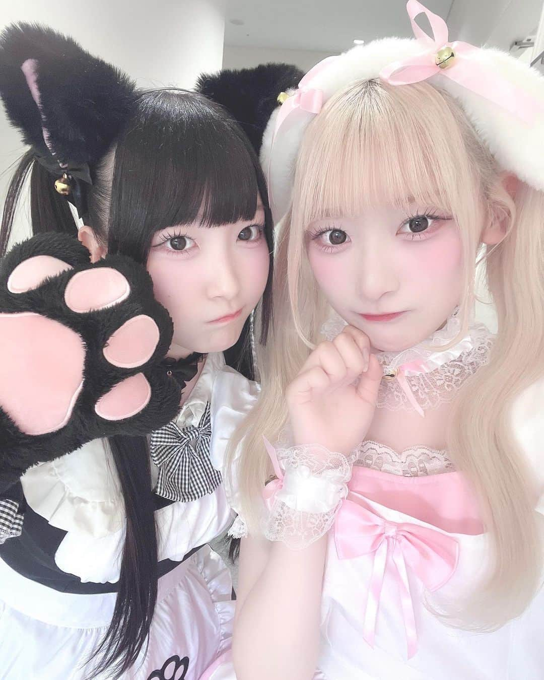 齋藤樹愛羅さんのインスタグラム写真 - (齋藤樹愛羅Instagram)「🐈‍⬛🎀🐇……❤︎*୨୧⑅    たまたま2人ともメイドで会った瞬間叫んだ . ̫ . ٛ ٍ ◝✩    きゅんかわいすぎない？！？！？！߹ - ߹♡      #きゅあらもーど #きゅんかわ #ハロウィンコスプレ」11月2日 22時27分 - saito_kiara_