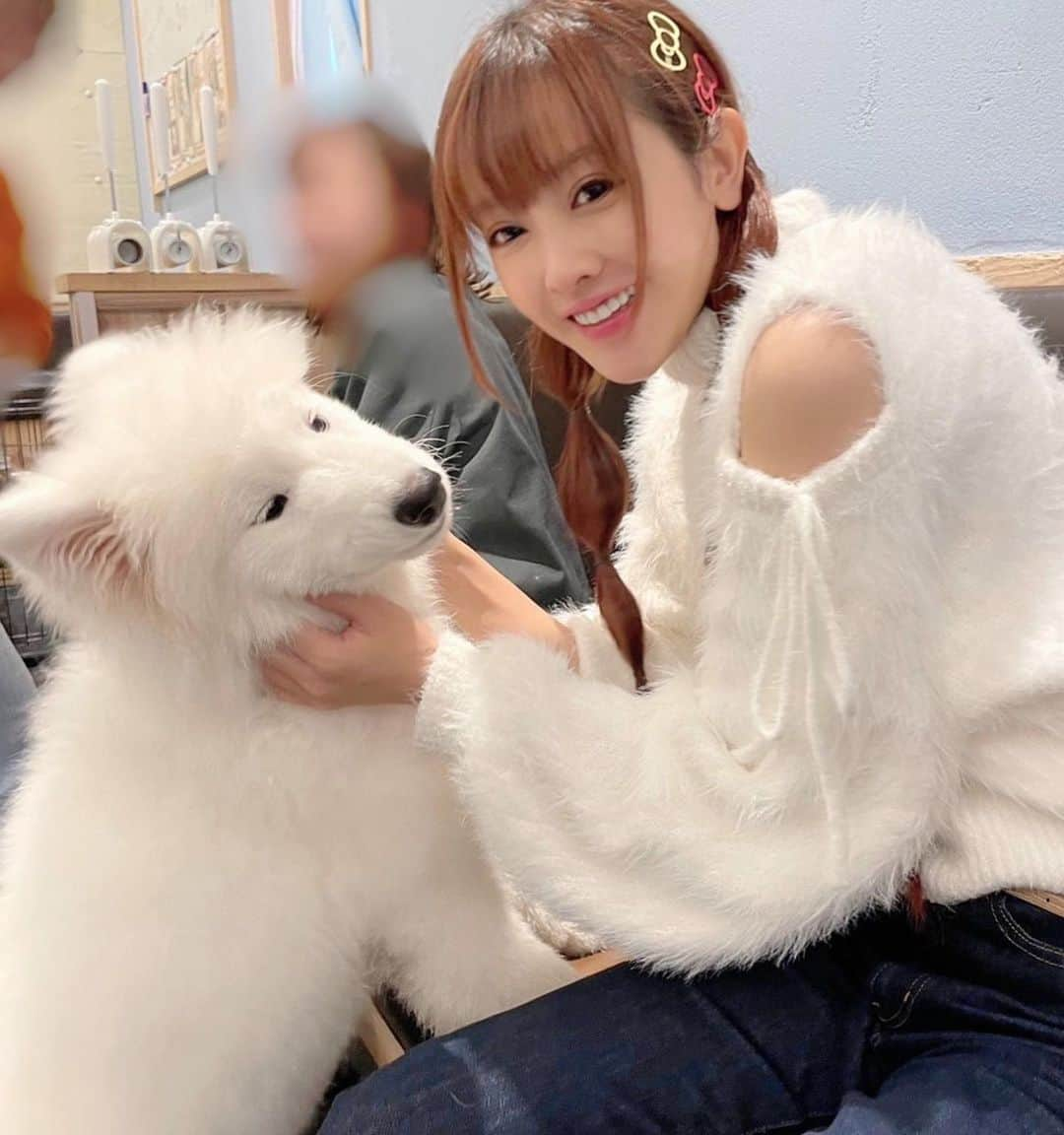 山本ひかるさんのインスタグラム写真 - (山本ひかるInstagram)「サモエドカフェ アル さんにて🐶 元気いっぱいサモエドちゃん達と沢山触れ合える素敵空間！！仲間だと思ってくれるかな〜って白いフワフワ着ていったら飛びついてめちゃくちゃ引っ張られたwww(幸せ) #サモエドカフェアル #サモエド #サモエドカフェ #사모예드 #japan #駒沢大学」11月2日 22時35分 - hikaru0228yamamoto