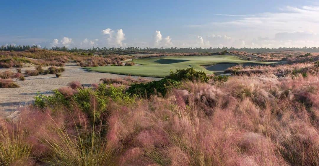 アーニー・エルスのインスタグラム：「So proud that our @ernieelsdesign golf course @albanybahamas will for the eighth year welcome some of the world’s best golfers at the @pgatour Hero World Challenge hosted by @tigerwoods from Nov 30 to Dec 3. It’s one of six courses in our portfolio to have hosted a tour event. From the earliest site visits to this beautiful location, we knew Albany would be something special. I’ve no doubt that the players enjoy playing this golf course just as much as we did designing it! #golf #bahamas #design #hospitality #travel #travelphotography #luxury #luxurylifestyle #tourism」