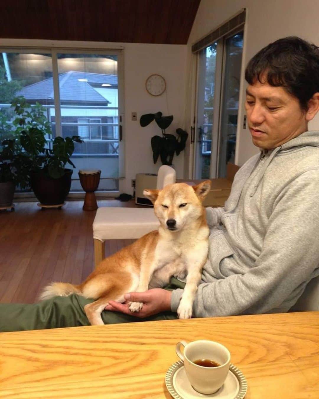 柴犬リリコのインスタグラム：「10年前の今日はドッグライフカウンセラーさん（保護犬のその後の生活の様子を定期的にチェックする人）がお家に来ていたそう。  その後は電話確認になり、その内確認もフェイドアウトしたけど…  懐かしいなぁ…  #柴犬 #柴犬リリコ #shibainu」
