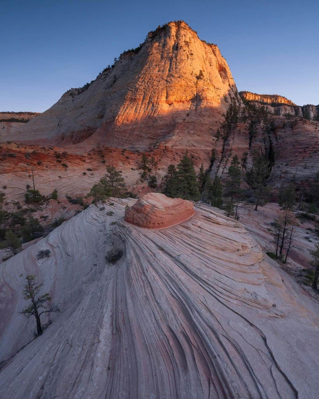 Keith Ladzinskiのインスタグラム：「At the intersection of the Colorado Plateau, the Great Basin, and the Mojave Desert sits Zion National Park, a playground of sandstone cliffs, upheavals domes and wild erosion. I shot this a few days ago for @natgeo on an immaculate evening, it’s great to be back in the desert.」