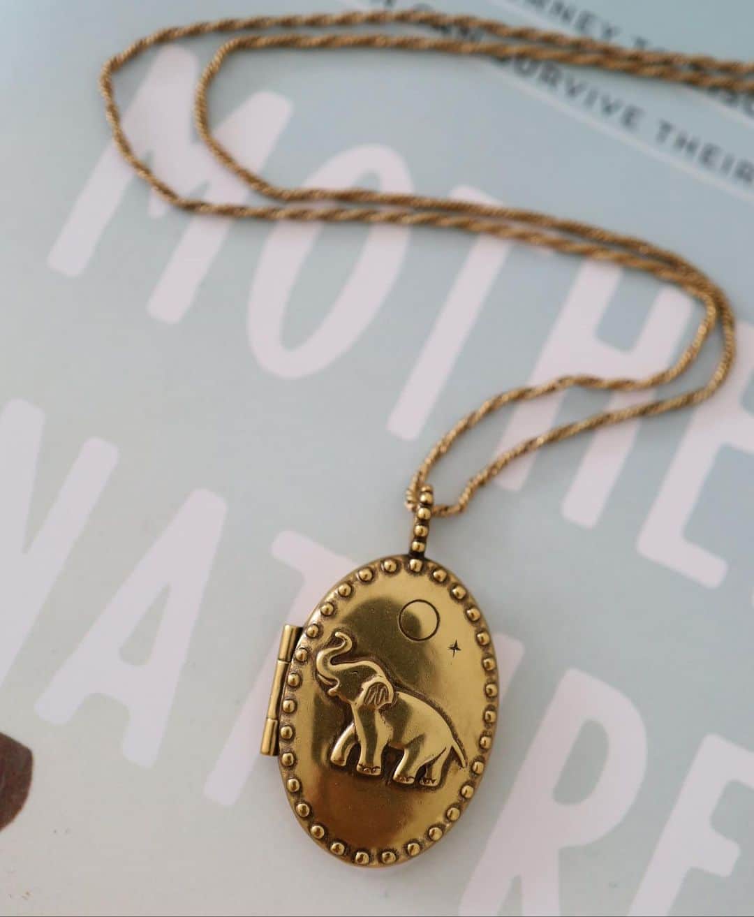 ウィンターケイトのインスタグラム：「Author @jedidiahjenkins and @nicolerichie collaborated to design this limited edition Elephant Locket in celebration of his new book, 'Mother, Nature,' launching this month.  This locket holds special meaning that speaks back to Jedidiah's book:   Every parent/child relationship comes with complexity. We grow up and believe different things. We change and evolve and conversations can be hard. But I hope that we can commit to loving each other, supporting each other, no matter what.   I’m reminded of the ‘Parable of the Elephant.’ It goes like this:    A long time ago, a strange beast was brought to a monastery of blind monks.  It was called an elephant. They had never heard of such a thing,  So they gathered around to touch it. The men each stood in one spot and reached out to touch the creature.  One man touched its trunk. Another, its tusk. Another, its flapping ear.  Each man touched it from where he stood.  When the elephant was gone, the men gathered together to reflect on the wonderful experience. But their stories did not align. One man described a giant snake. Another a gentle monster made of bone. Another, a bat-winged giant. They became angry with each other. How could they lie about something so extraordinary? Soon, they were shouting and fists were swinging.  In many versions of the story, the men go their separate ways and never speak again.      ~~~  This locket represents a commitment to love,  To believing that no matter how different you are,  No matter how certain you are, There is a love that sees it all from above,  That sees the whole elephant, not just a trunk or a tusk.  I put a picture of my mom and me in mine. I wear one and she does too. We don’t agree on much, but we agree that we love each other and always will.   -Jedidiah Jenkins, author of ‘Mother, Nature’ / Designed by Nicole Richie  We hope you’ll get one for the family member or friend that can commit with you to loving no matter what. ♥️🐘✨」