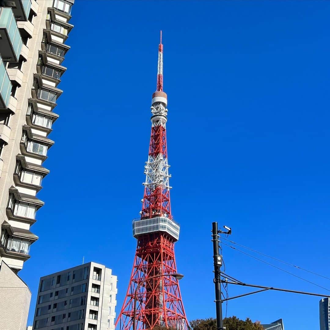 彩羽真矢さんのインスタグラム写真 - (彩羽真矢Instagram)「東京にきて ありがたいことばかり！  すごい世界で 優しい人たちの中 毎日学びと向き合うことの繰り返し  ありがたい！！  そして、 私は変わりたい！！！  もっともっと、 大きくなりたい！  大阪にいる大好きな人たちからも 沢山励ましやエールをもらってて  私ってなんて恵まれてるんだろう🥹  これからも必要とされたい  今もらってる沢山の想いを 何倍にもしてお返ししたいです🌷  感謝は言葉で何回でも伝えられるけど  恩返しは自分の行動でしかできないから  仕事で返せるくらい、 大きな人間になれるよう  もっともっと頑張ります！！！」11月3日 0時10分 - chami_444