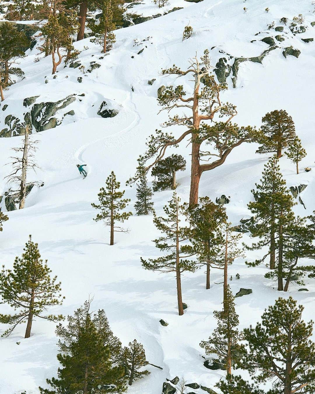 patagoniaさんのインスタグラム写真 - (patagoniaInstagram)「“Spending time out in the elements causes us to be very present, properly prepared and strategic. As well as letting the organic process happen, trying not to fight it but invite it.  “Sometimes there is an intense state but also a very meditative one that you tap into which leads you into the unknown, which is truly the biggest treat. When we are far from civilization, we realize how small and unimportant we are.  “The ocean and mountains are far greater than any human and will always win any battle. You can be having such a great time in either, yet as soon as you become too comfortable, they will catch you off guard and you will be served. Humbling as always. So much to learn from each as well, in terms of the ecosystems in each and how the circles of life within work.”  Cole Barash (@cole_barash) is a visual artist, working in digital, analog and archival photography, sculpture and film.   Riders: @nick_russelll, @forrestshearer」11月3日 1時15分 - patagonia