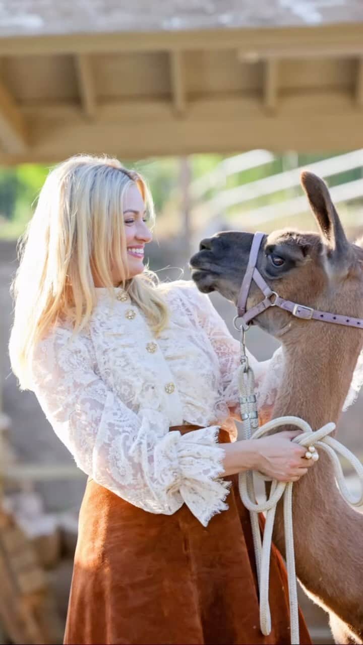 ベス・ベアーズのインスタグラム：「Did you know 2 Broke Girls star Beth Behrs is not just a horse girl on the show??? Get to know Beth at the link in our bio!  #2brokegirls 📸Portraits by Lori Ovanessian」