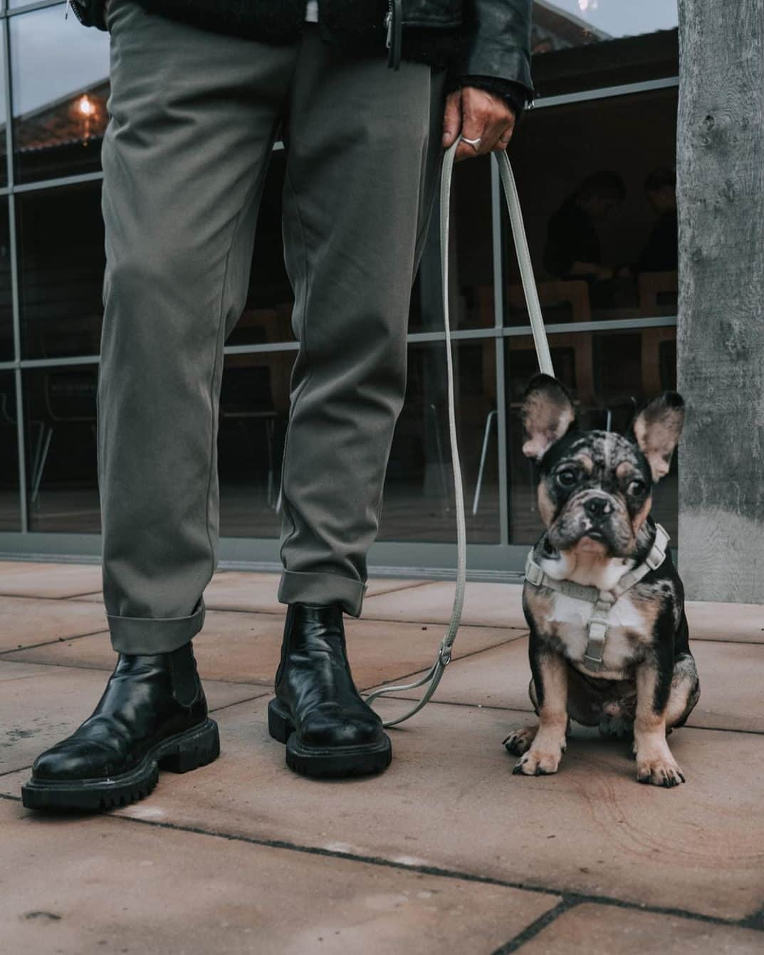 オールセインツのインスタグラム：「Wherever they go, we go. @carlthompson + Pepper.」