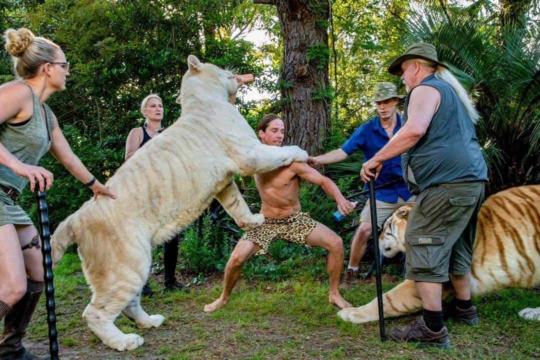 ナショナルジオグラフィックさんのインスタグラム写真 (ナショナルジオグラフィックInstagram)「Congratulations to