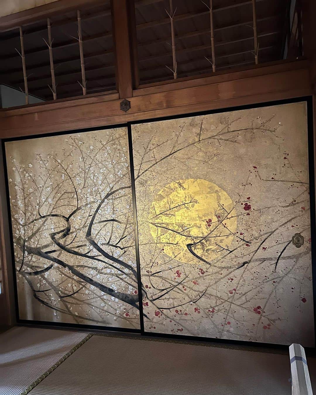 坂口涼太郎さんのインスタグラム写真 - (坂口涼太郎Instagram)「🎋🌾🍁🪷🌸🌿 先週は水戸公演ありがとう。 偕楽園にも行けて襖絵に感動したよ。 さあて、いよいよ最終地点京都に向かっています。 これで最後やと思うともうすでに涙腺の方がゆるまって難儀やけど、各地のお客様が贈ってくれた拍手感想激励の全部を京都のお客様に届けてくるね。 #木ノ下歌舞伎 #勧進帳 @kinoshita.kabuki  #水戸芸術館 @arttowermito  #偕楽園」11月3日 13時29分 - ryotarosakaguchi