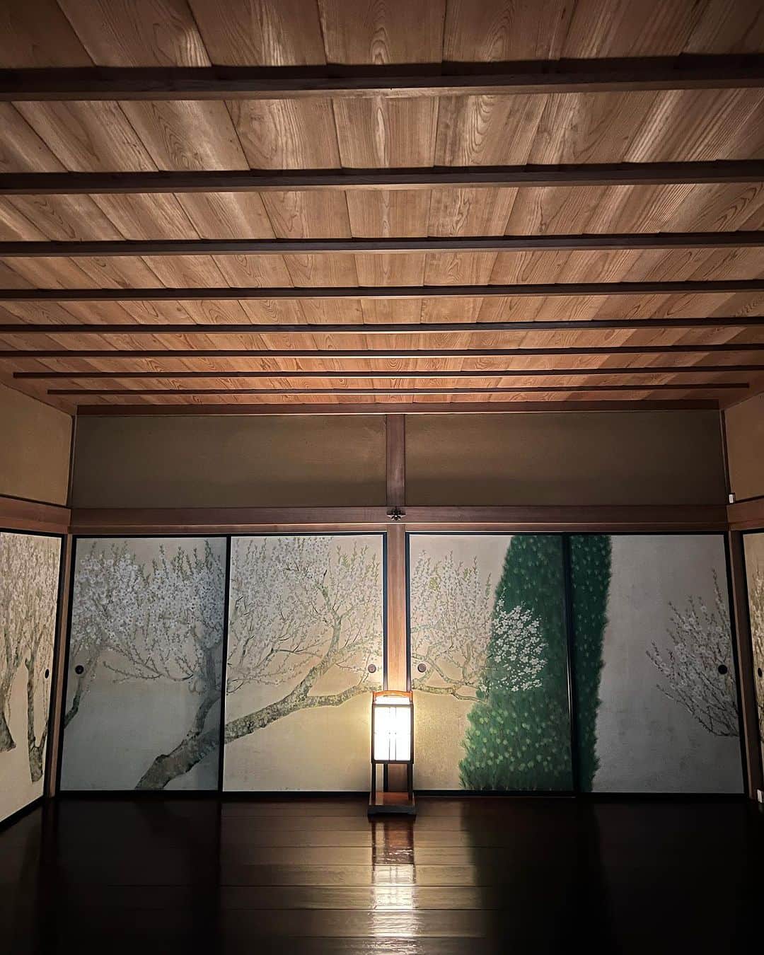 坂口涼太郎さんのインスタグラム写真 - (坂口涼太郎Instagram)「🎋🌾🍁🪷🌸🌿 先週は水戸公演ありがとう。 偕楽園にも行けて襖絵に感動したよ。 さあて、いよいよ最終地点京都に向かっています。 これで最後やと思うともうすでに涙腺の方がゆるまって難儀やけど、各地のお客様が贈ってくれた拍手感想激励の全部を京都のお客様に届けてくるね。 #木ノ下歌舞伎 #勧進帳 @kinoshita.kabuki  #水戸芸術館 @arttowermito  #偕楽園」11月3日 13時29分 - ryotarosakaguchi