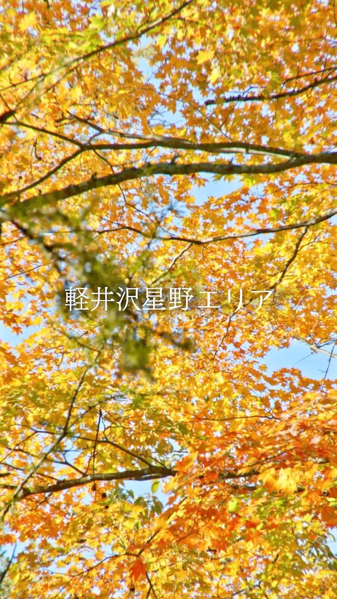 星野リゾートのインスタグラム：「星野エリアの紅葉がピークを迎えています🍁 ケラ池スケートリンクで、紅葉を見ながら氷上散歩はいかがですか？⛸️🍁  ⁡ #ケラ池スケートリンク #氷上散歩 #秋の軽井沢 #ハルニレテラス #星野エリア #軽井沢 #軽井沢の日常 #軽井沢ライフ #軽井沢ライフスタイル  #軽井沢観光 #軽井沢旅行 #軽井沢星野エリア #星野リゾート #hoshinoresorts #hoshinoresort #harunireterrace #hoshinoarea #karuizawa #karuizawalife」