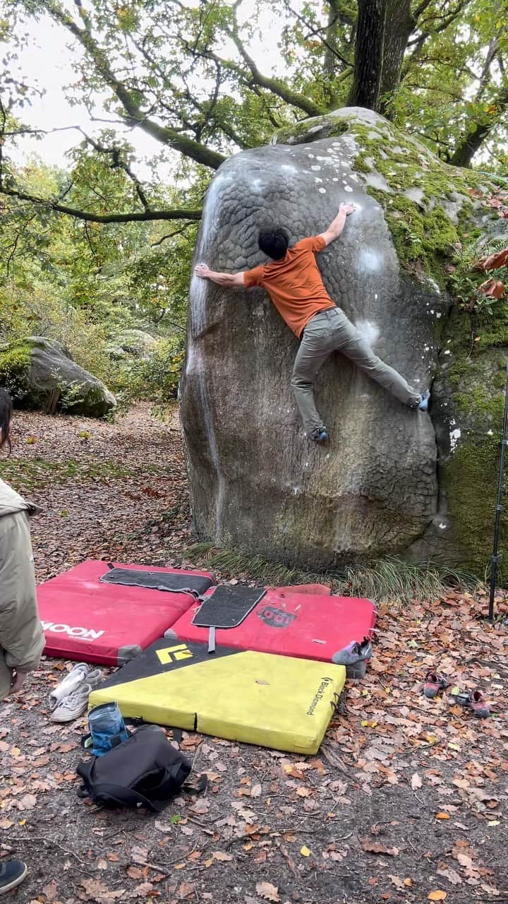 藤井快のインスタグラム：「Contrôle Technique 💫 I'm happy to be able to do old project that I couldn't do 10 years ago. I guess I got a little better at climbing 😊  10年越しの完登。 当時は無理に感じた課題がさっくり登れて、10年前よりもクライミングが上手になってて嬉しいな😊  #fontainebleaubouldering #フォンテーヌブロー  #関電工 @team_edelrid @morinagatraininglab」