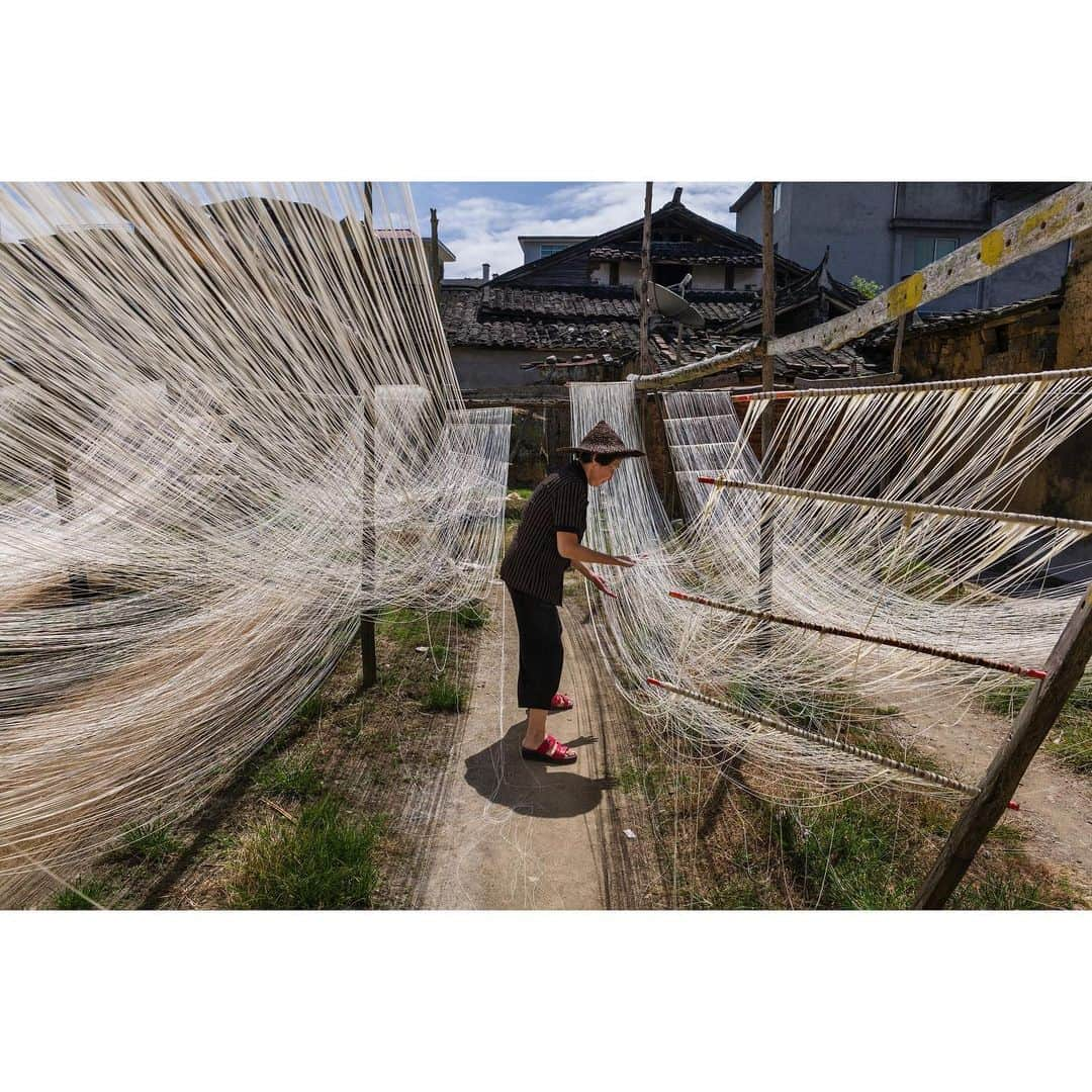 スティーブ・マカリーさんのインスタグラム写真 - (スティーブ・マカリーInstagram)「A woman drys noodles in her backyard for her restaurant. After photographing her process, we had a bowl of her beautiful noodle soup. This region is famous for its noodle dishes. Ningde, Fujian province, China, 2019.」11月3日 5時55分 - stevemccurryofficial