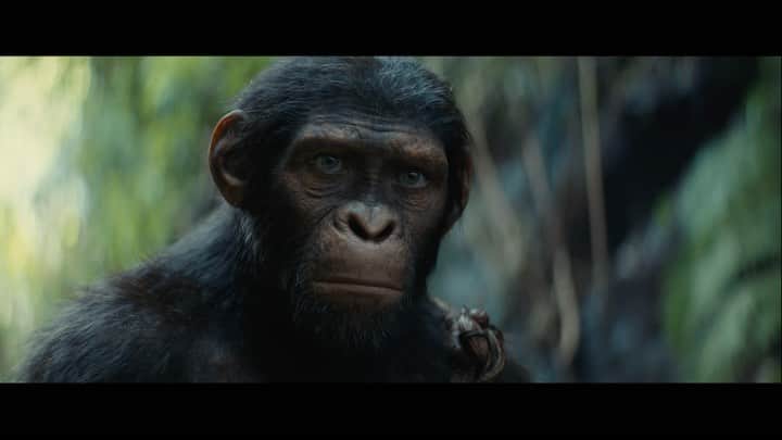 ドルビーラボラトリーズのインスタグラム：「Welcome to the Kingdom of the Planet of the Apes.   In #DolbyCinema May 24. 2024.」