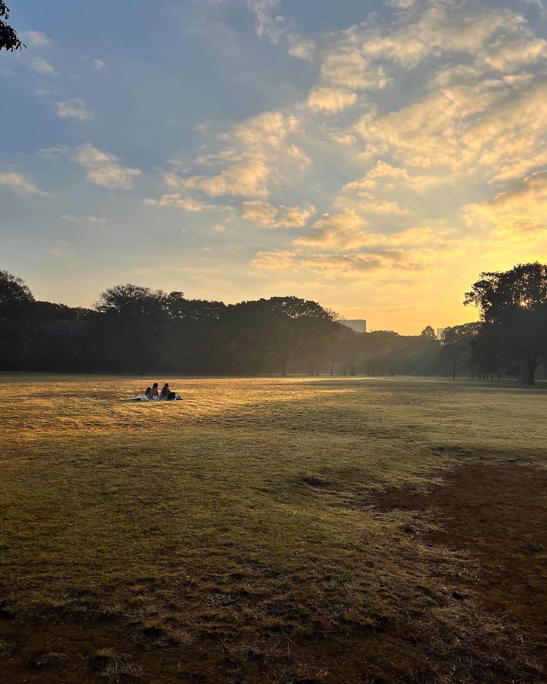 金セアルのインスタグラム：「🤸🌞 ＿＿＿＿＿＿＿＿＿＿ ・ am6:45 ・ ・ 代々木公園でラジオ体操した後。 とても良い景色✨」