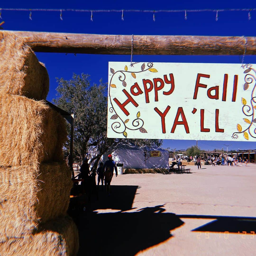 アリソン・シュミットさんのインスタグラム写真 - (アリソン・シュミットInstagram)「Tis the szn 🎃👻🧡  #happyhalloween #fallyall   Swipe ➡️ to see the costume 🤭」11月3日 7時12分 - arschmitty