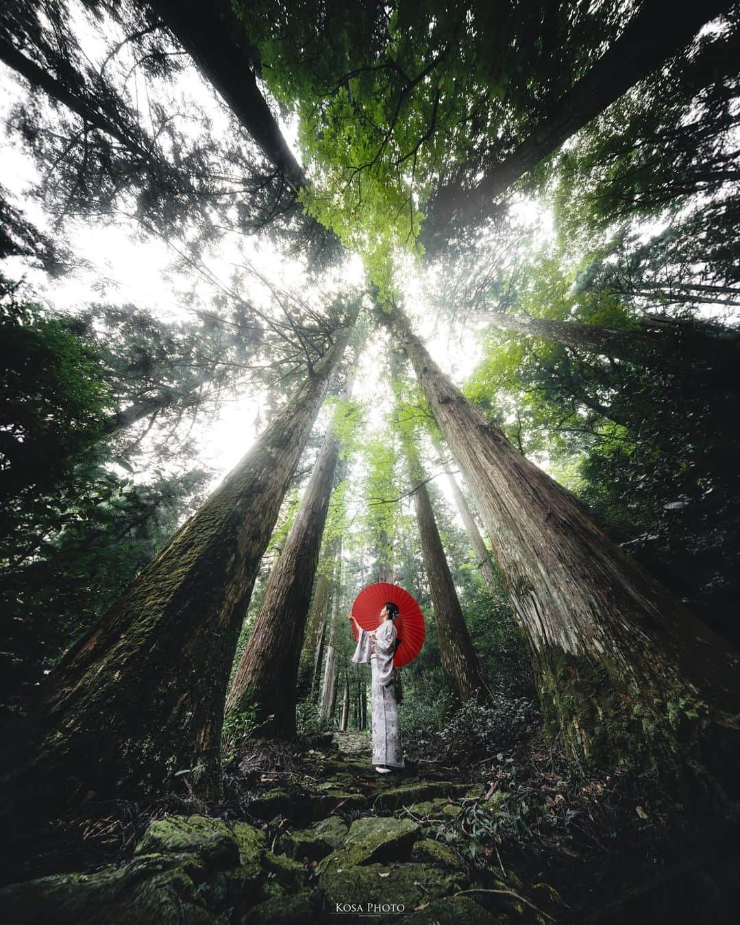 コサさんのインスタグラム写真 - (コサInstagram)「広角といえば、やっぱりローアングル⁉️ 地面からあおる9mmの超広角レンズのパースも面白いよ . Location:岐阜 Gifu /Japan🇯🇵 Date:2023年10月 in frame: @chami_2nd Camera:Z9 / LAOWA 9mm F5.6 W-Dreamer . #瀧神社 #tanddフォトコンテスト2023 #discover #japancityblues #jp_portrait_collection #ポトレファン倶楽部 #ポトレ撮影隊 #jp_mood #jp_portrait部 #clv_galerie #japangem #explorejpn #japanlives #gogifu #m_v_shotz #laowa9mm #Rox_Captures #raw_japan #deaf_b_j_ #mf_landscape #tokyocameraclub #art_of_japan_ #whim_member #team_jp_ #photo_jpn #sorakataphoto #LBJ_KING #Lovers_Nippon #japan_best_pic #japan_waphoto」11月3日 7時18分 - kosa_photo