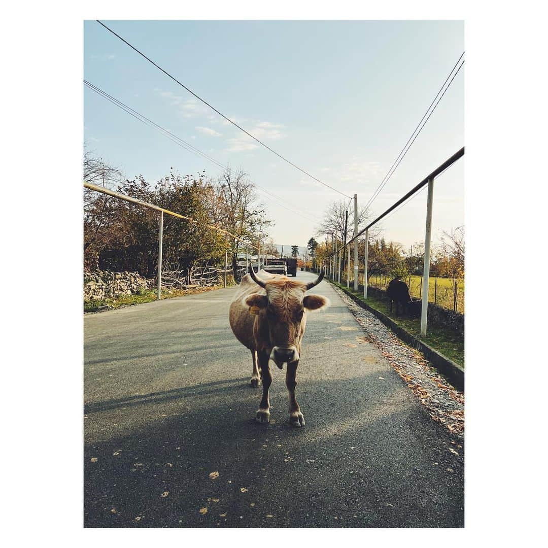 高橋ヨーコさんのインスタグラム写真 - (高橋ヨーコInstagram)「チェチェン共和国に近いパンキシ渓谷の集落を訪ねました。まずはチェチェン系キスト人が暮らす村Jokoloへ。」11月3日 7時46分 - yoko1970