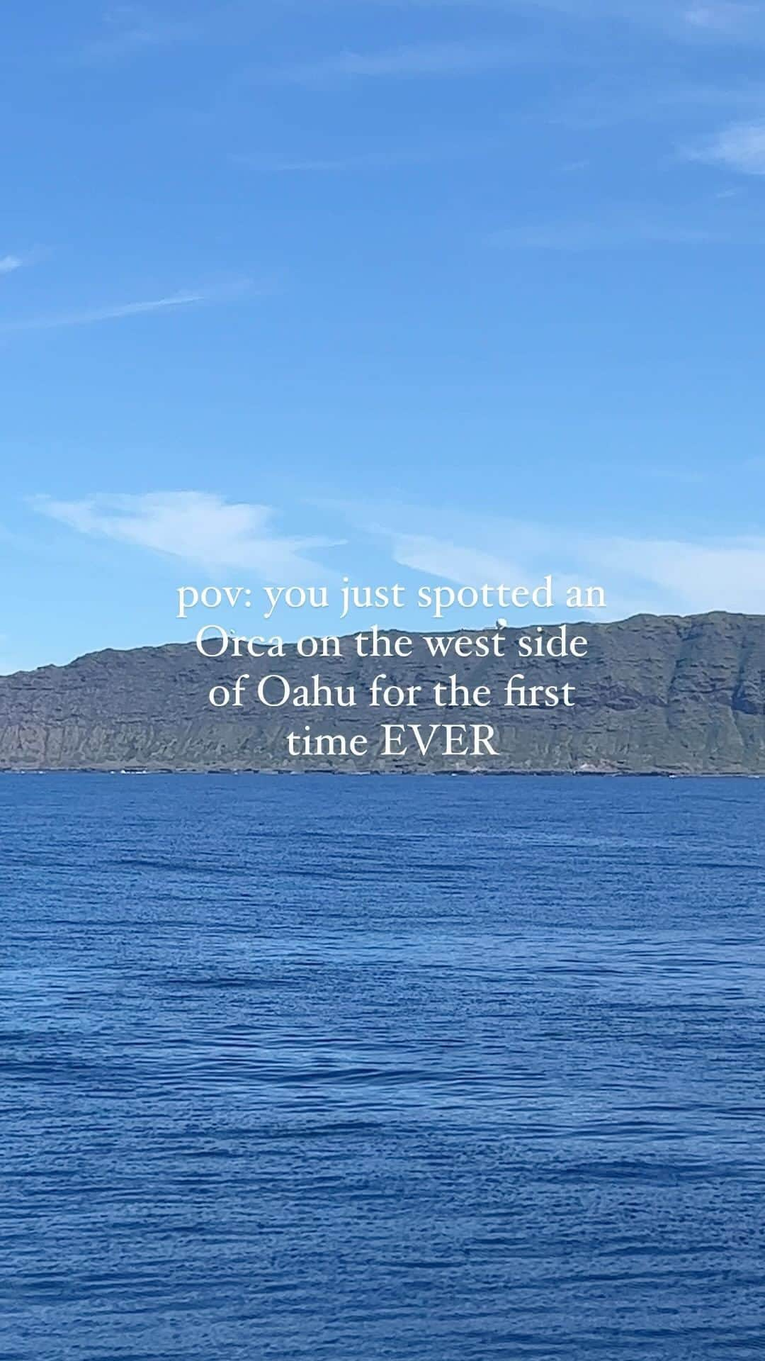 And Youのインスタグラム：「Check out this pod of Orcas that we spotted on the West Side this morning WHILE on tour! These killer whales do not come to Hawaii water because our waters are too warm, therefore this is incredibly rare! Our captain @keolani_love doing her thing and making sure we saw these! AN AMAZING MORNING!  📸📸🎥: @nataliewilson___」