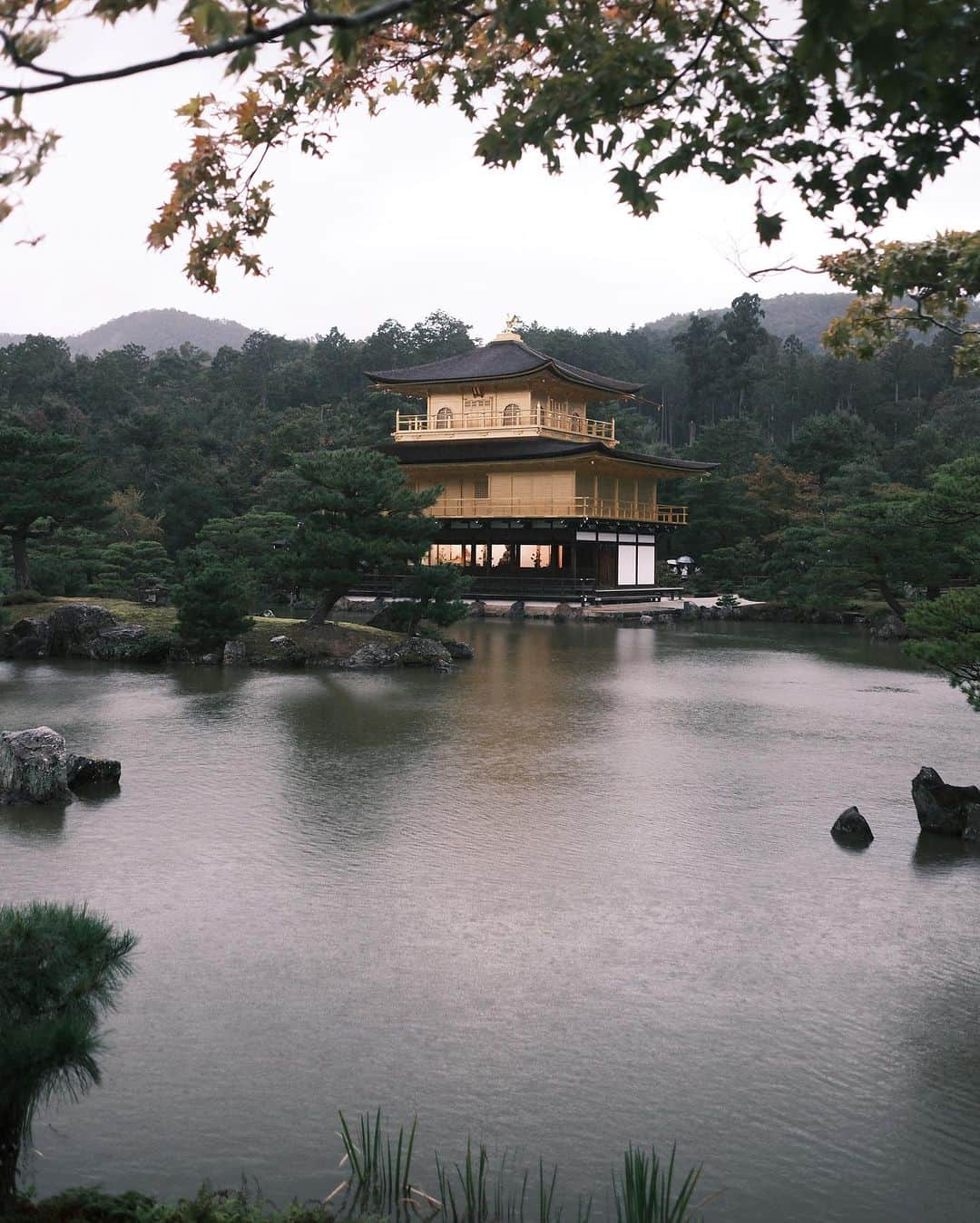 チン・ハクシンさんのインスタグラム写真 - (チン・ハクシンInstagram)「相機直出雨天的金閣寺還是好美！ 美到之後還想再去一次！🫶🏼」11月3日 7時55分 - hsin.n