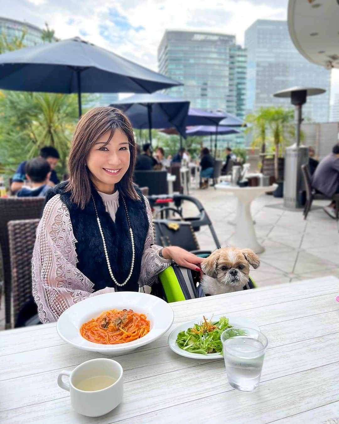 田中浩実さんのインスタグラム写真 - (田中浩実Instagram)「✧︎ すぴ散歩 パスタと牡蠣が食べたくて横浜ベイクォーターにある「キンカウーカ」へ。 @bayquarter  @kinkawooka_yokohamabq   ここの場所のテラスが好き♡ 開放的で”海“や“みなとみらい”が見えるから好きなの♡  ベイクォーターは大好きで今月もわんこランチ会で行く予定。 一緒に行きたい方いたら連絡くださいね‪︎‬‪︎☺︎ 店内OKも増えてくれると嬉しいですよねー！ 横浜ベイクォーターさん、店内わんこOK店舗増やしてください！ よろしくお願いいたします🐶  ※すぴかのおやつはキャベツです。  📍キンカウーカ グリル＆オイスターバー 横浜ベイクォーター店 神奈川県横浜市神奈川区金港町1-10 横浜ベイクォーター5F   #すぴ散歩  #すぴ散歩グルメ  #横浜ベイクォーター #わんすたぐらむ  #いぬのきもち  #わんこのいる生活  #わんことお出かけ  #シーズー  #シーズー大好き部 #ふわもこ部  #鼻ぺちゃ  #横浜グルメ #shitzu  #shitzulovers」11月3日 8時19分 - hiromi.tanaka.japan