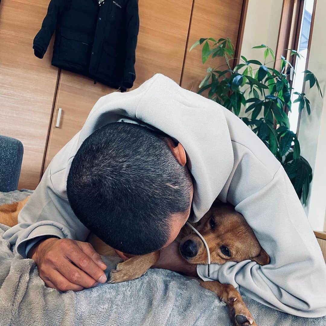 中村貴之さんのインスタグラム写真 - (中村貴之Instagram)「うちのわんこ達🐕🐕 愛くるしい。  #保護犬 #元野犬」11月3日 8時27分 - taka_brew