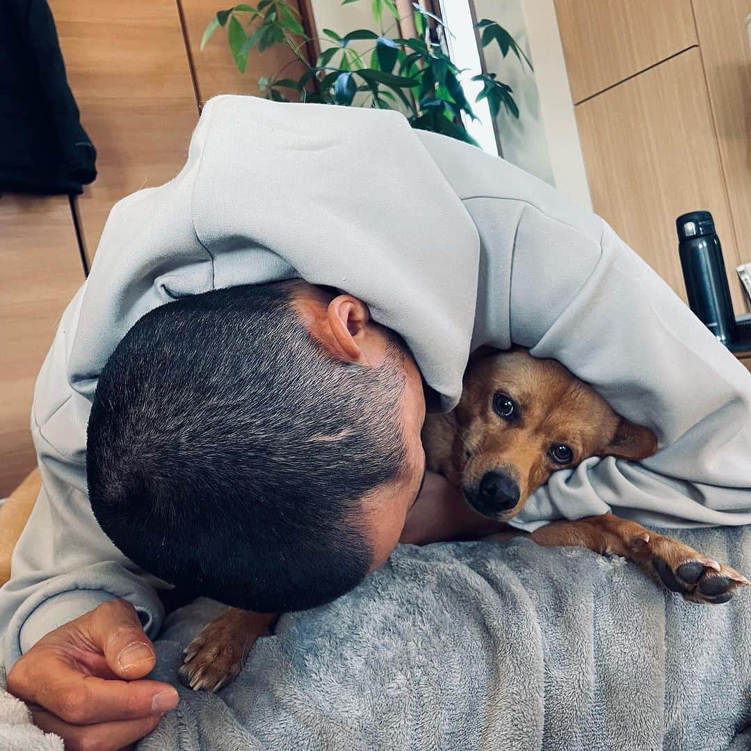 中村貴之さんのインスタグラム写真 - (中村貴之Instagram)「うちのわんこ達🐕🐕 愛くるしい。  #保護犬 #元野犬」11月3日 8時27分 - taka_brew
