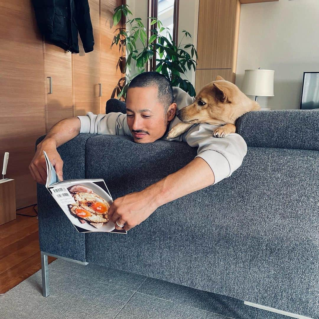 中村貴之さんのインスタグラム写真 - (中村貴之Instagram)「うちのわんこ達🐕🐕 愛くるしい。  #保護犬 #元野犬」11月3日 8時27分 - taka_brew