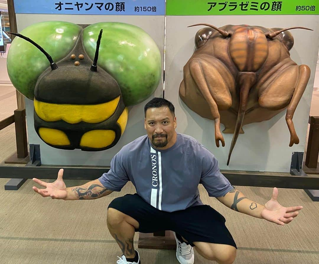 樋高リオのインスタグラム：「Love insect  Sooooo  cooooool !!!!!  虫が好きだ  カッコ良過ぎる！！！！！」