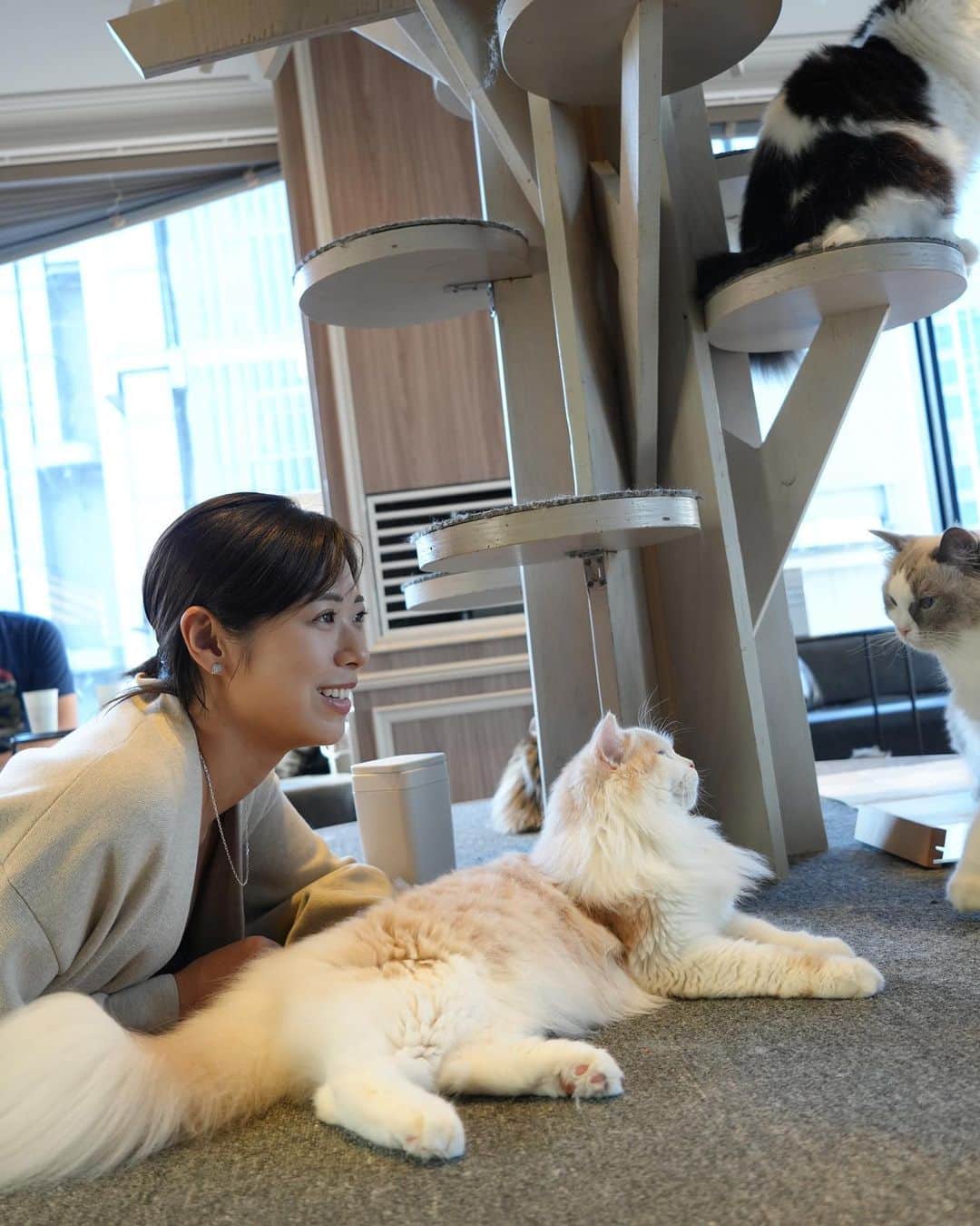 わちみなみさんのインスタグラム写真 - (わちみなみInstagram)「りなが誘ってくれて 猫をみてきた🐈  2人ともカメラ好きだから 撮り合ってあっという間に時間が経っていた🤣  猫ちゃんとの遊び方が わからずドキドキな私に対して リナは慣れていたもよう  見守ってるだけで可愛かった🐱🫶 手が可愛いね🥺  @mocha.shibuya   #猫カフェ　#デート #渋谷猫カフェ　#猫カフェmocha  #渋谷カフェ　#カメラ　#sonya7」11月3日 8時39分 - wacchime