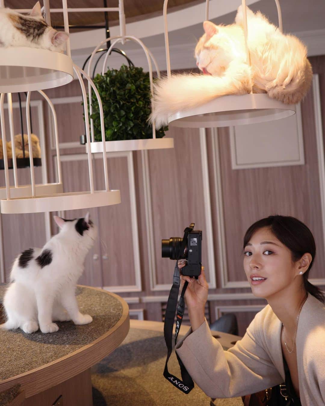 わちみなみのインスタグラム：「りなが誘ってくれて 猫をみてきた🐈  2人ともカメラ好きだから 撮り合ってあっという間に時間が経っていた🤣  猫ちゃんとの遊び方が わからずドキドキな私に対して リナは慣れていたもよう  見守ってるだけで可愛かった🐱🫶 手が可愛いね🥺  @mocha.shibuya   #猫カフェ　#デート #渋谷猫カフェ　#猫カフェmocha  #渋谷カフェ　#カメラ　#sonya7」