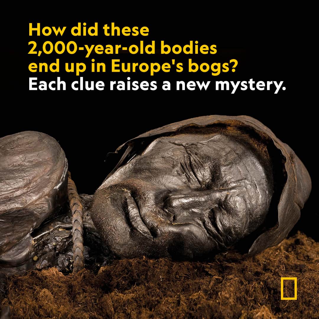 ナショナルジオグラフィックさんのインスタグラム写真 - (ナショナルジオグラフィックInstagram)「Learn more at the link in bio.  We thought we knew the secrets of Europe's bog bodies. We didn't. Now, science is revealing new clues—and new mysteries—about these remarkably well-preserved bodies.  Photograph by @robertclarkphoto」11月3日 9時00分 - natgeo