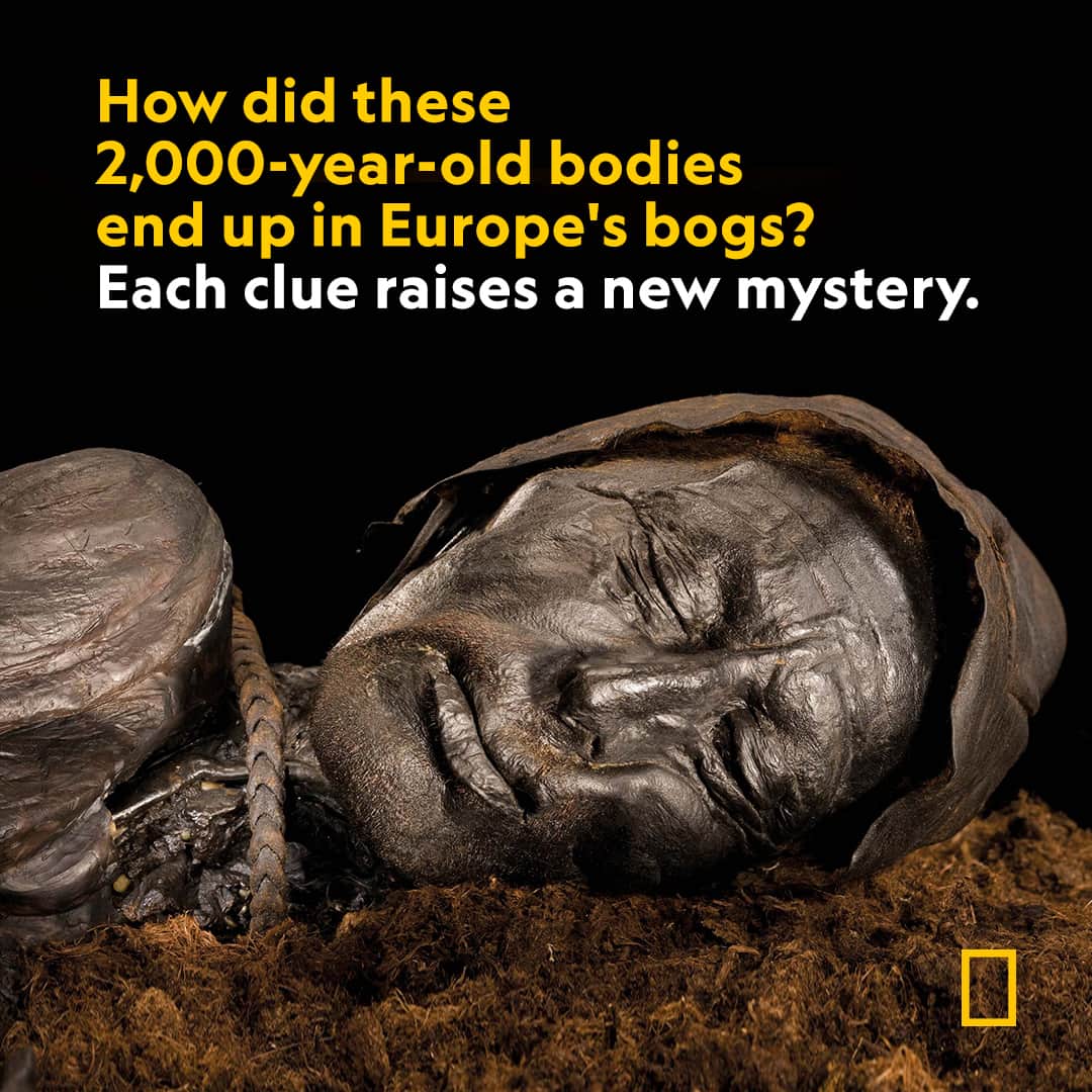 のインスタグラム：「Learn more at the link in bio.  We thought we knew the secrets of Europe's bog bodies. We didn't. Now, science is revealing new clues—and new mysteries—about these remarkably well-preserved bodies.  Photograph by @robertclarkphoto」