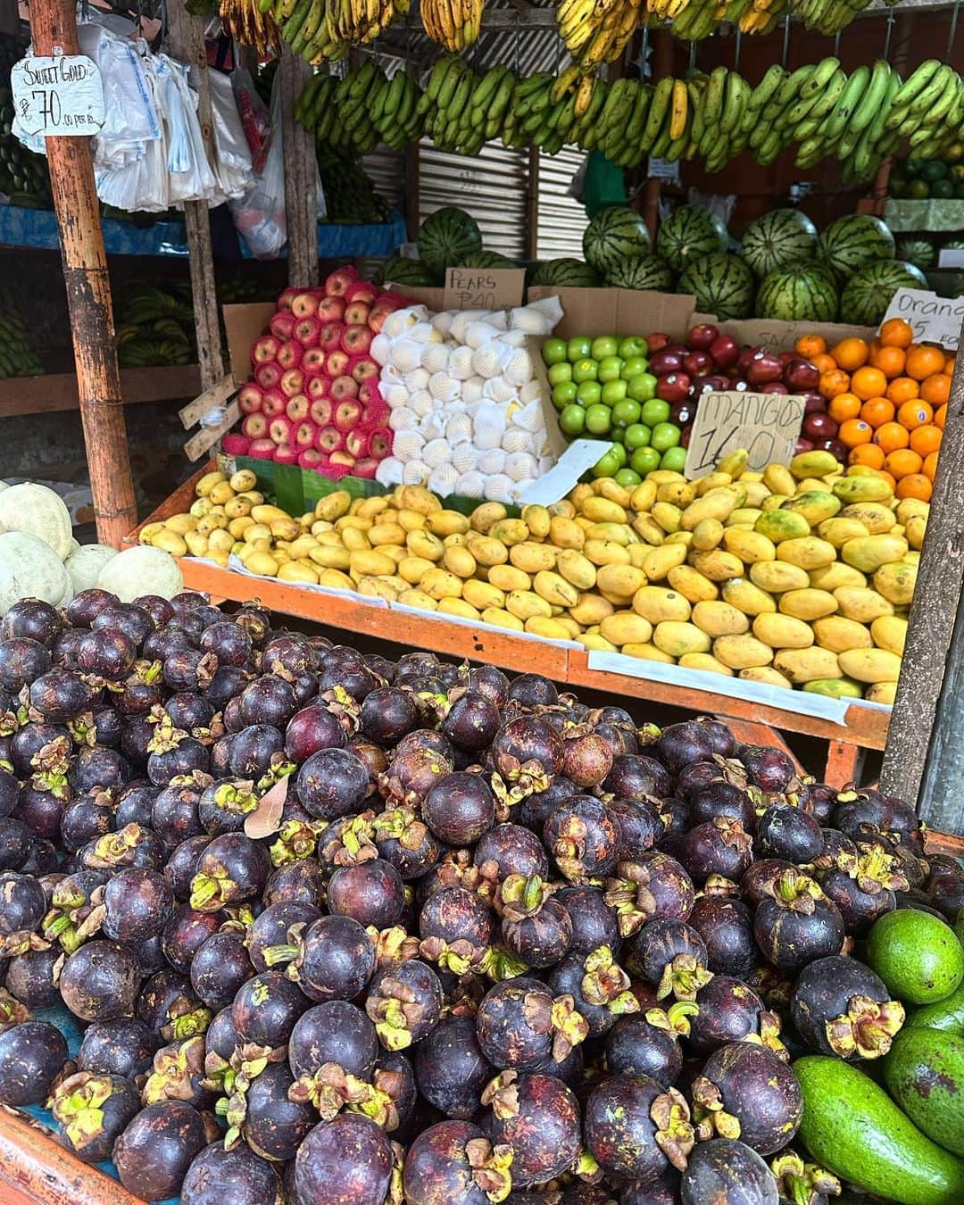 ティナ さんのインスタグラム写真 - (ティナ Instagram)「A very late Boracay vlog is finally up🫰🏻Missing all the fruit I ate & good food 🤍 My mom wasnt ready for the last photo! LOL」11月3日 9時22分 - soobeanie_