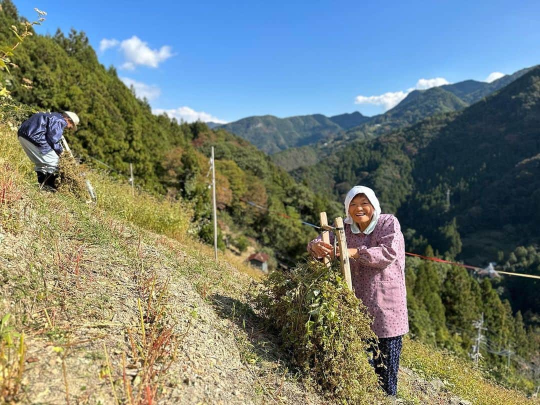 小谷あゆみさんのインスタグラム写真 - (小谷あゆみInstagram)「日本じゅうの農村を旅して感じるのは、日本人の半分は山岳民族だということです。 平野部に人口が集中したのはせいぜい昭和からこっち100年ぐらいでそれまでは山あいの傾斜地でいかに食料を生み出すかを山の民は考え、技を編み出してきた。 それが　#里山 #satoyama  としてSDGSと合わせて再評価されているのを見ると、やはり戻るべきところへ回帰していくのが持続性ということだと思えてきます。 傾斜地どんだけ〜〜〜 と叫びたくなるつるぎ町貞光、その名も猿飼集落。 この日も猿が何十頭も集団で移動していた。 獣と同居するのはここでは今に始まったことではないのだ。 歴史と自然の知を合わせ持つ山の暮らしに学ぶことは多い。 米ができないので、そばを粉にせず粒のまま雑炊にするそば米雑炊。煮干しの出汁が効いて山の野菜具沢山でそば米のつぶつぶ食感食べ応えあり、おいしいこと。 #にし阿波の傾斜地農耕システム  #世界農業遺産 #GIAHS #FAO #持続可能な農業システム #sdgs  #西岡田さん  #そば米雑炊」11月3日 9時36分 - vegeanaayu