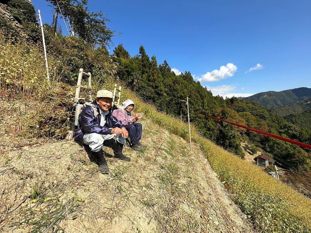 小谷あゆみさんのインスタグラム写真 - (小谷あゆみInstagram)「日本じゅうの農村を旅して感じるのは、日本人の半分は山岳民族だということです。 平野部に人口が集中したのはせいぜい昭和からこっち100年ぐらいでそれまでは山あいの傾斜地でいかに食料を生み出すかを山の民は考え、技を編み出してきた。 それが　#里山 #satoyama  としてSDGSと合わせて再評価されているのを見ると、やはり戻るべきところへ回帰していくのが持続性ということだと思えてきます。 傾斜地どんだけ〜〜〜 と叫びたくなるつるぎ町貞光、その名も猿飼集落。 この日も猿が何十頭も集団で移動していた。 獣と同居するのはここでは今に始まったことではないのだ。 歴史と自然の知を合わせ持つ山の暮らしに学ぶことは多い。 米ができないので、そばを粉にせず粒のまま雑炊にするそば米雑炊。煮干しの出汁が効いて山の野菜具沢山でそば米のつぶつぶ食感食べ応えあり、おいしいこと。 #にし阿波の傾斜地農耕システム  #世界農業遺産 #GIAHS #FAO #持続可能な農業システム #sdgs  #西岡田さん  #そば米雑炊」11月3日 9時36分 - vegeanaayu