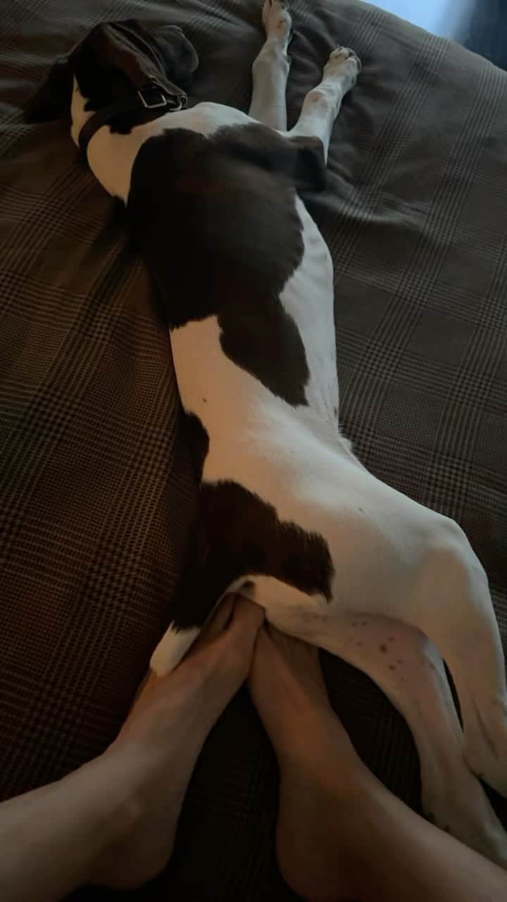 ハイディ・クルムのインスタグラム：「🥰❤️ 🐶 🐾」