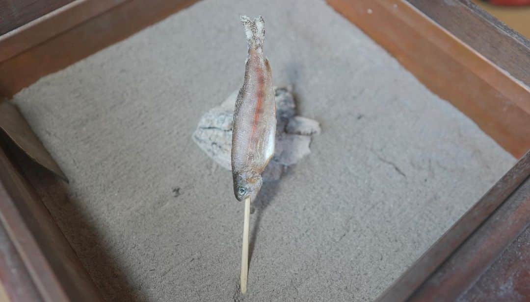りんの田舎暮らしのインスタグラム：「田舎飯シリーズ①🐟  #北海道 #田舎暮らし #移住 #古民家 #田舎飯 #囲炉裏のある暮らし #車中泊 #美容 #ダイエット #動画外のご飯も今後たまにご紹介していきます」