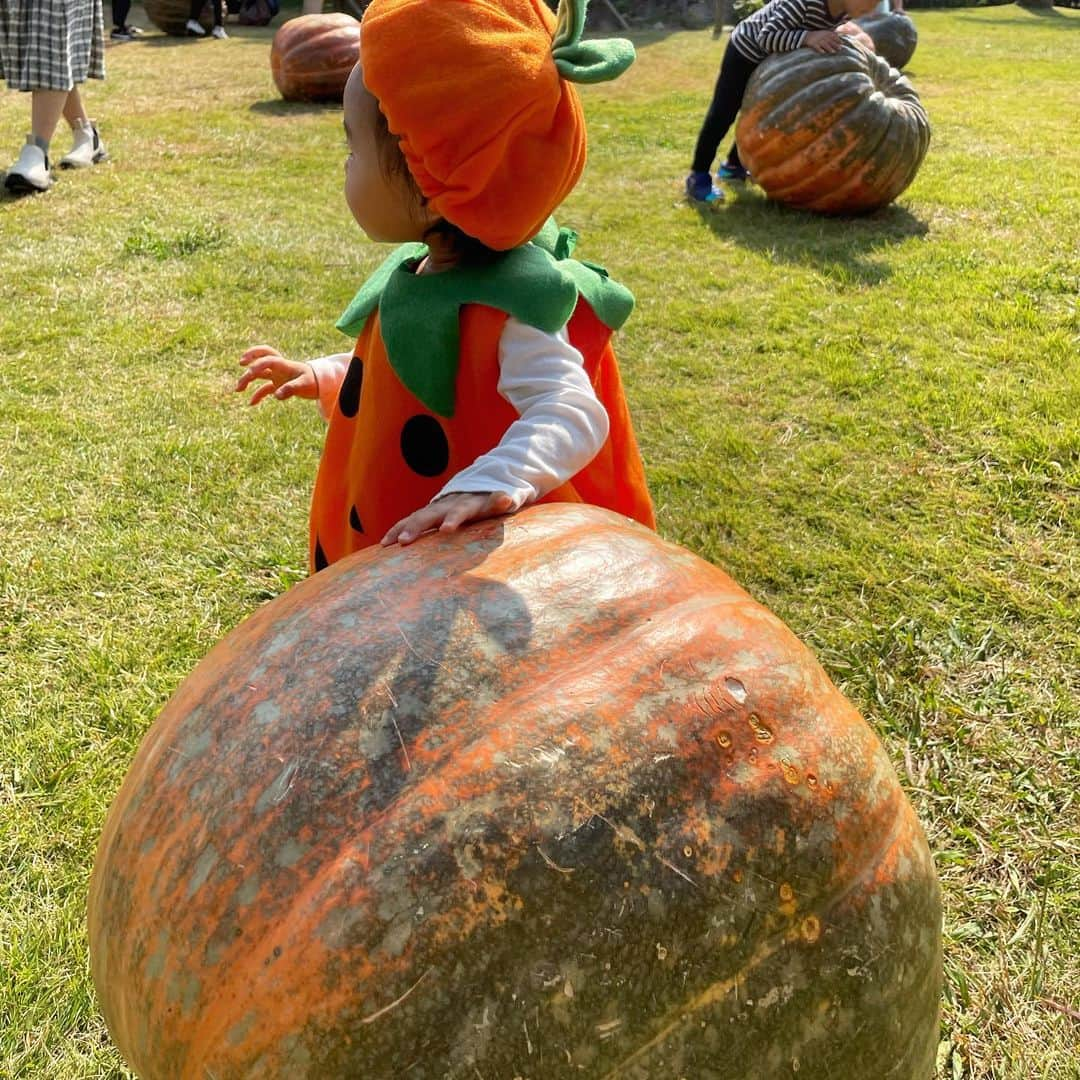 河西智美さんのインスタグラム写真 - (河西智美Instagram)「Halloween写真ラスト✨  かぼちゃのオバケで植物園に🎃🖤 姪っ子ちゃんも一緒に遊びにいきました！！  姪っ子ちゃんが一所懸命にベビ〜みを面倒見てくれる様子が 本当に可愛くていつもほっこりします🥹🩷 いつまでも2人仲良くいてね🩷  カボチャさんの後ろ姿がなんともいえないフォルムで ドナルドのおしりを見た時みたいなときめきでした💘  #ハロウィン仮装#赤ちゃんハロウィン#かぼちゃのおばけ #夢の島熱帯植物館」11月3日 10時49分 - chiyu3u