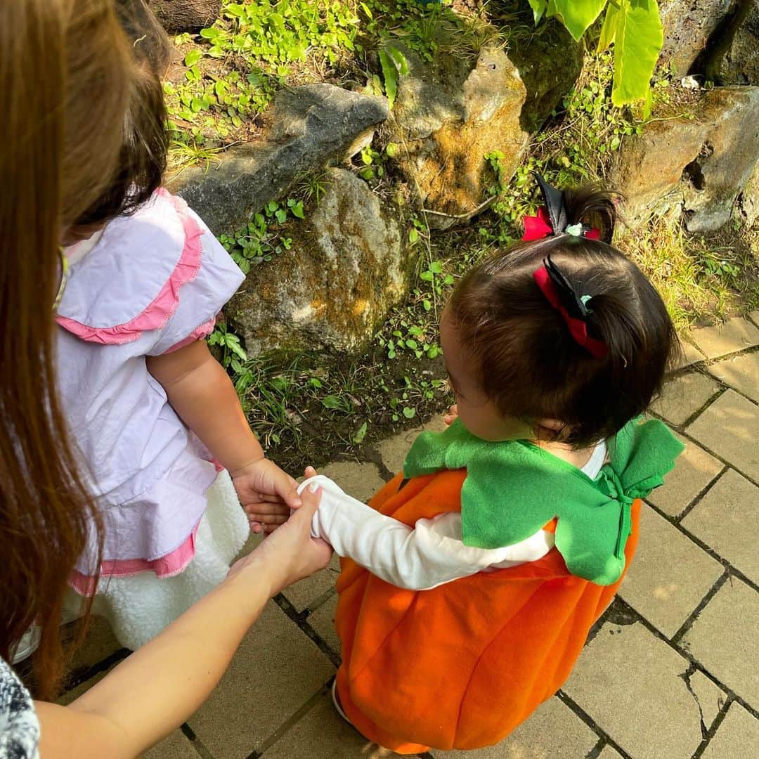 河西智美さんのインスタグラム写真 - (河西智美Instagram)「Halloween写真ラスト✨  かぼちゃのオバケで植物園に🎃🖤 姪っ子ちゃんも一緒に遊びにいきました！！  姪っ子ちゃんが一所懸命にベビ〜みを面倒見てくれる様子が 本当に可愛くていつもほっこりします🥹🩷 いつまでも2人仲良くいてね🩷  カボチャさんの後ろ姿がなんともいえないフォルムで ドナルドのおしりを見た時みたいなときめきでした💘  #ハロウィン仮装#赤ちゃんハロウィン#かぼちゃのおばけ #夢の島熱帯植物館」11月3日 10時49分 - chiyu3u