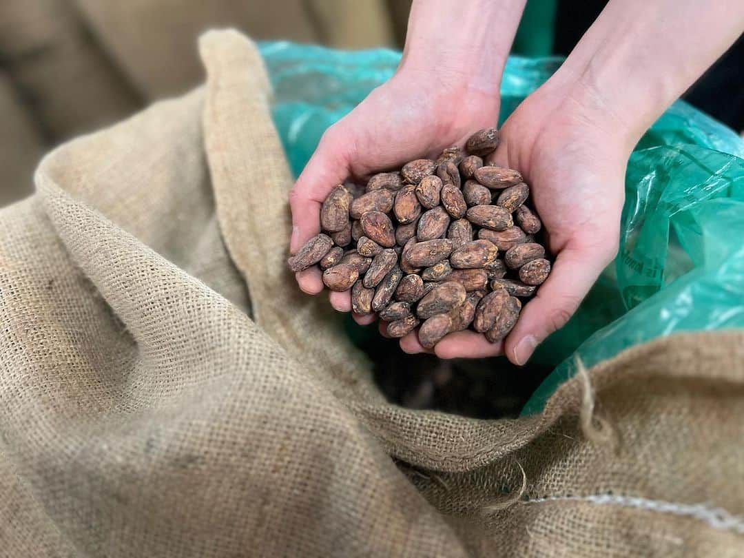 green bean to bar CHOCOLATEのインスタグラム：「タンザニアからカカオ豆が届きました🫘✨ 今回届いたロットはどんな仕上がりになるか、、！！ 今から楽しみです😊😊  #greenbeantobarchocolate #グリーンビーントゥバーチョコレート #beantobarchocolate #craftchocolate #クラフトチョコレート #チョコレート専門店 #ビーントゥバー #cacaolovers #cacao #カカオ #タンザニア」