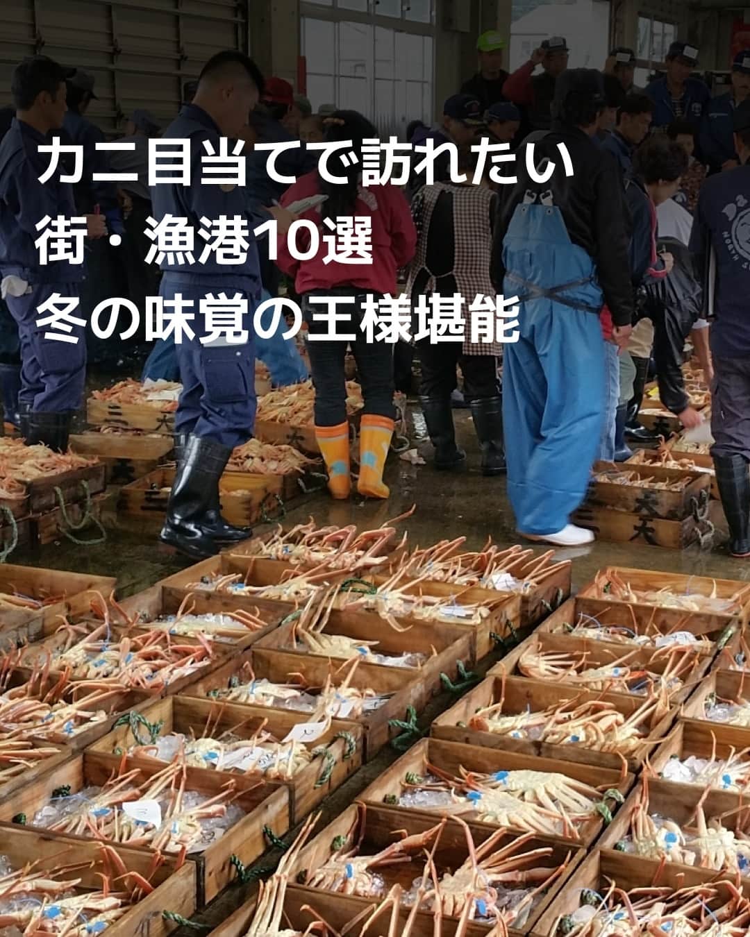 日本経済新聞社さんのインスタグラム写真 - (日本経済新聞社Instagram)「立冬が近づけば、冬の味覚の王様「カニ」の季節の到来です。カニにゆかりのある土地に出かけ、日本が誇る食文化に触れたい。産地ならではの魅力や味わいが楽しめる街・漁港を専門家が選びました。⁠ ⁠ 詳細はプロフィールの linkin.bio/nikkei をタップ。⁠ 投稿一覧からコンテンツをご覧になれます。⁠→⁠@nikkei⁠ ⁠ #日経電子版 #カニ #蟹 #城崎 #越前 #京丹後 #おでかけ #冬の味覚」11月3日 12時00分 - nikkei