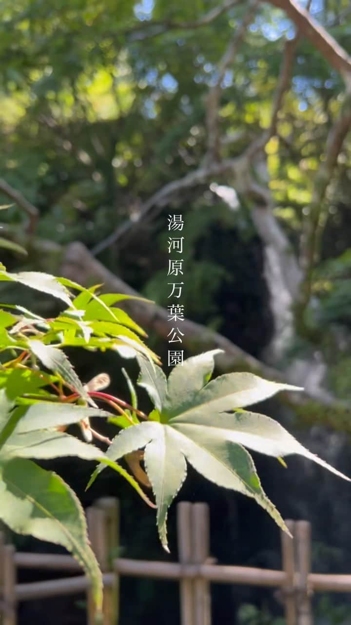 Fabiolla Takinamiのインスタグラム：「#Vlog 2023.10 #湯河原#湯河原万葉公園#万葉公園 夫と温泉旅行♨️ 全てが美しかった🍁」