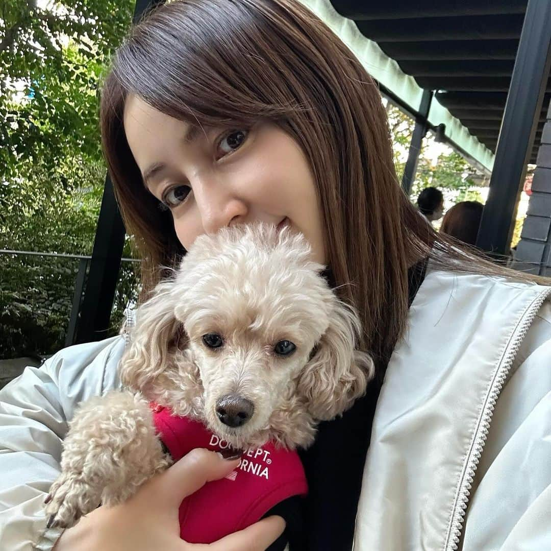 矢田亜希子のインスタグラム：「久しぶりのアディくん😍 #もなちゃん#トイプードル#アディくん#ラブラドールレトリーバー #お散歩#癒し#いぬとも #仲良し」