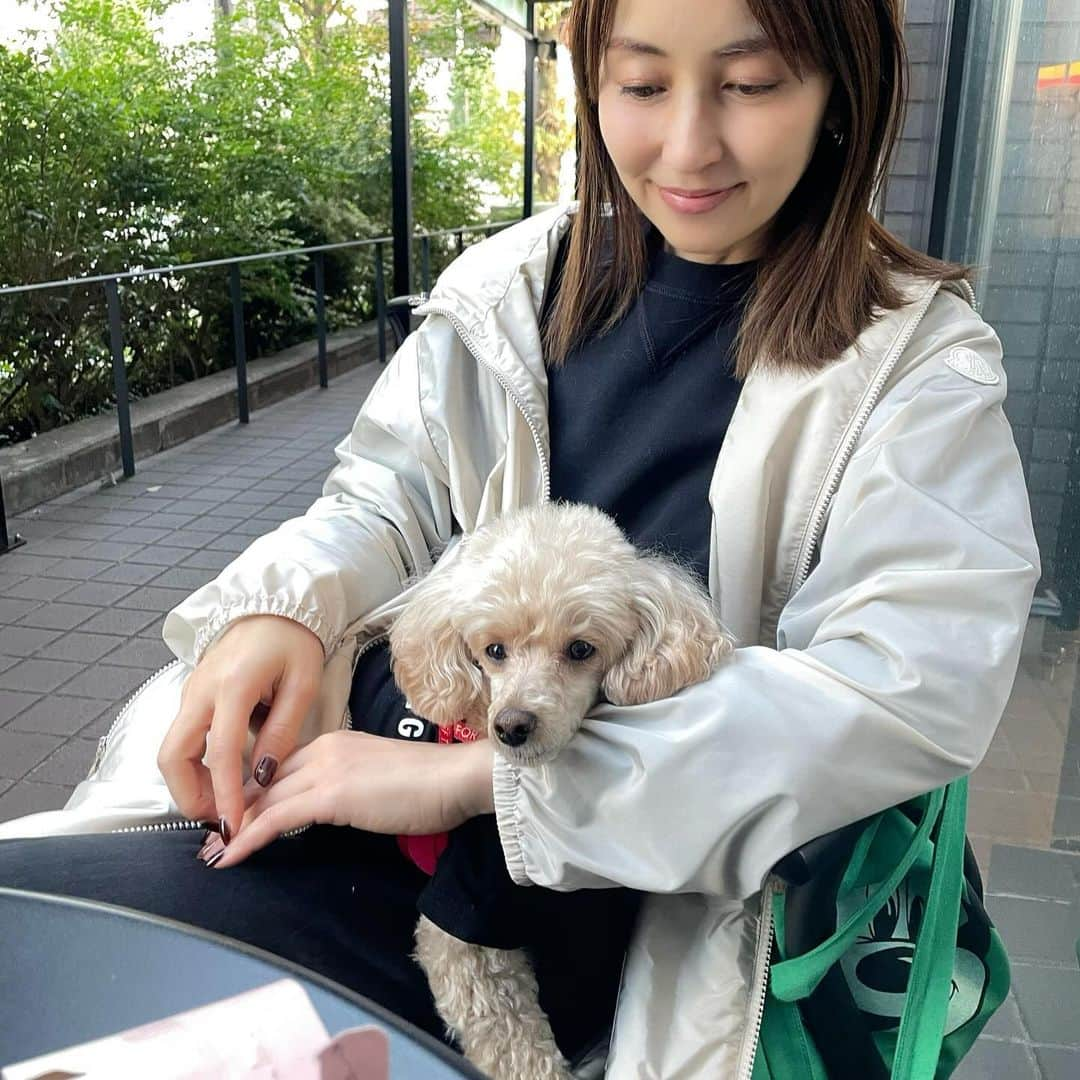 矢田亜希子さんのインスタグラム写真 - (矢田亜希子Instagram)「久しぶりのアディくん😍 #もなちゃん#トイプードル#アディくん#ラブラドールレトリーバー #お散歩#癒し#いぬとも #仲良し」11月3日 21時57分 - akiko_yada