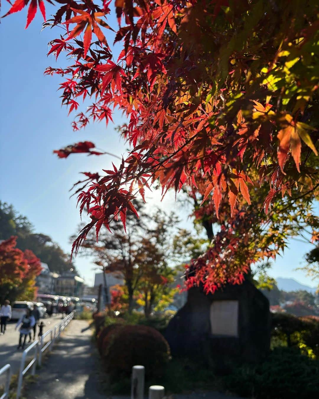 魚住咲恵さんのインスタグラム写真 - (魚住咲恵Instagram)「お天気良いし、どっか行こうか！ って、思いつきで家を飛び出し、電車に乗ってからの作戦会議。 特急に乗りたい‼️ その願望ひとつで、“かいじ”に乗ることを決め、 たどり着いたのは、河口湖。 11月とは思えない暖かな日差しに、真っ赤に色づいたもみじの葉っぱがキラキラ光ります。 遠くには、3日前に降った雪で、うっすらと雪化粧した富士山を臨む…  さっき決めた旅とは思えない、満足度（笑）  先週からちょうど、もみじ祭りも始まったようで、今、河口湖オススメです✌️  帰りも、長男の乗りたい“富士回遊”という特急に乗り、成田エクスプレスに、あずさ、1日に数本しか運行していないレアな電車を発見したり…ラッキーがいっぱい✌️無事に家に帰れて、ホッとしていると、 長男が「ママ、今日は素敵な旅行に連れて行ってくれて、ありがとう😄」って。 それにつられて、次男も「ママ、ありがとう😊」  こんなことが、言えるようになったんだ…🥲 ついウルッときたので、思いっきり、2人を抱きしめました♡ ワンオペだと、トイレひとつとっても、大変。どちらかは、何かしらを我慢しないといけないし。私も余裕が無くて、優しさに欠けることが多々ある でも、このワンオペの旅をする度に、本当ーーーに長男も次男もたくましく、優しくなるのよ。 ワンオペで、余裕がない私の姿を晒す度に、頼もしくなってくれるんだよね。 今回も、長男にも、次男にも、たくさん助けてもらって、『ありがとう』はママの言葉なんだ、本当は。  と、同時にまた大切なことも見えてきた。 パパがいると、つい抱っこしてもらって、買いたいもの買ってもらって、意見が分かれたら、二手に分かれればいい。我慢の無い、なんでも手に入る旅ができる。 子どもたちには、それにも“ありがとう”って気づいてもらえるように伝えていかなきゃ！今度はそこかな😆  ありがとうって、嬉しい言葉 あるって、幸せ。 あれもある、これもある  あぁ、幸せ😍  #ワンオペ旅行  #成長の旅 #男の子兄弟  #ありがとう #魚住咲恵」11月3日 22時13分 - sakie_uozumi.official