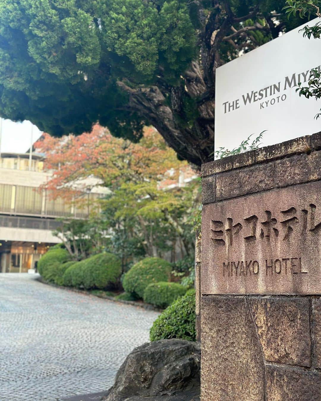 THE WESTIN KYOTO ウェスティン都ホテル京都さんのインスタグラム写真 - (THE WESTIN KYOTO ウェスティン都ホテル京都Instagram)「お天気に恵まれた三連休になるようです。 ホテル前のハナミズキの葉も赤く染まり、東山の山々も少しずつ色付き始めました。秋の訪れを感じる京都をお愉しみください。  It will be a three-day weekend blessed with fine weather. The leaves of the dogwood tree in front of the hotel have turned red, and the Higashiyama mountains have gradually begun to change color. Please enjoy Kyoto in the autumn.  #京都観光　#京都旅行　#秋の京都 #そうだ京都行こう #ウェスティン都ホテル京都　#westinmiyakokyoto #kyoto #kyototrip #kyotohotel」11月3日 22時37分 - westinmiyakokyoto