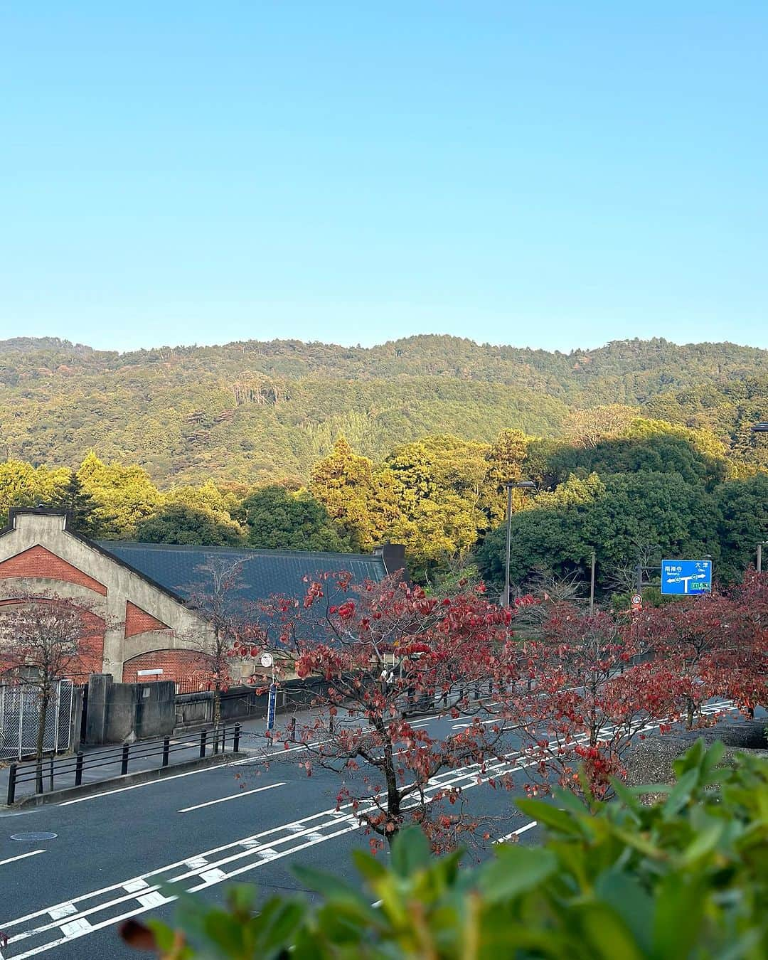 THE WESTIN KYOTO ウェスティン都ホテル京都のインスタグラム：「お天気に恵まれた三連休になるようです。 ホテル前のハナミズキの葉も赤く染まり、東山の山々も少しずつ色付き始めました。秋の訪れを感じる京都をお愉しみください。  It will be a three-day weekend blessed with fine weather. The leaves of the dogwood tree in front of the hotel have turned red, and the Higashiyama mountains have gradually begun to change color. Please enjoy Kyoto in the autumn.  #京都観光　#京都旅行　#秋の京都 #そうだ京都行こう #ウェスティン都ホテル京都　#westinmiyakokyoto #kyoto #kyototrip #kyotohotel」